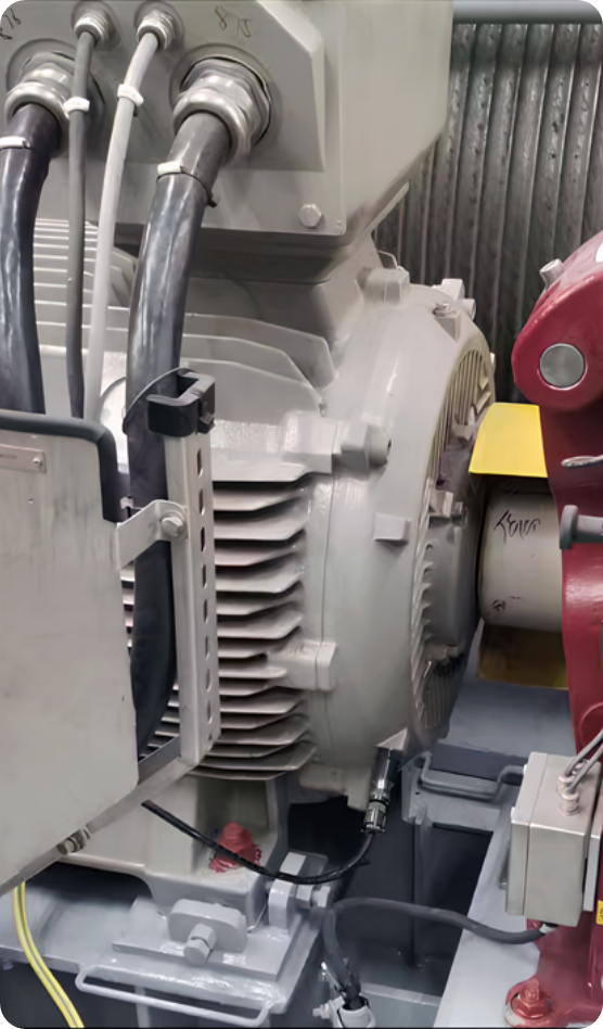 亿德体育app官网